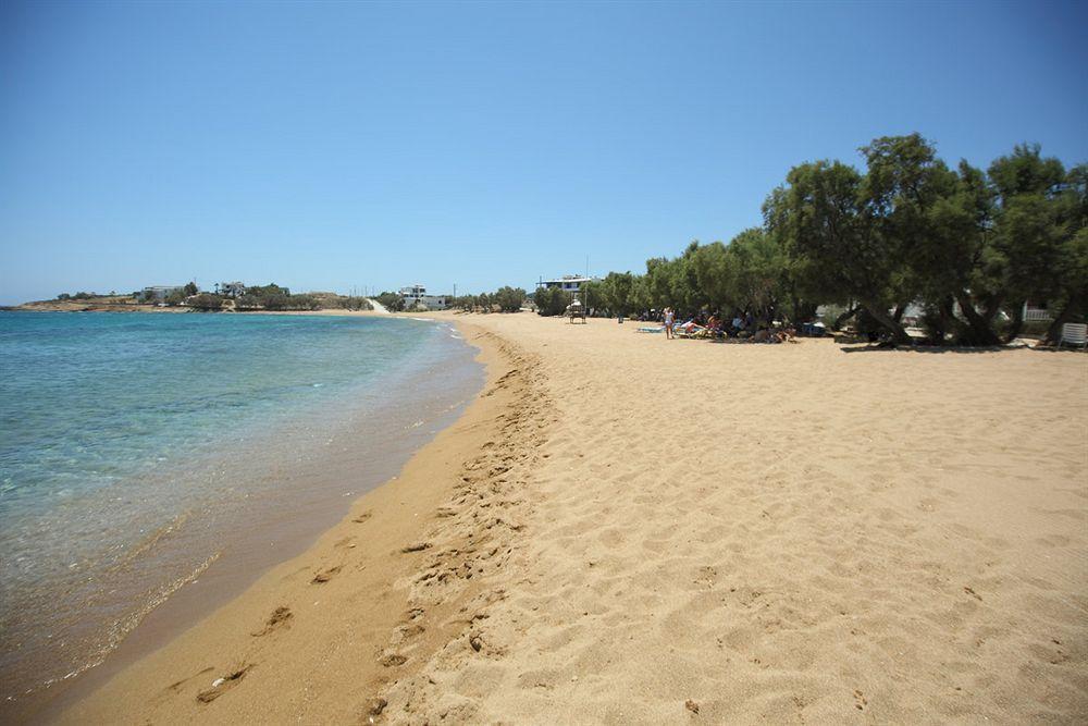 מלון Paros Seafront 3*